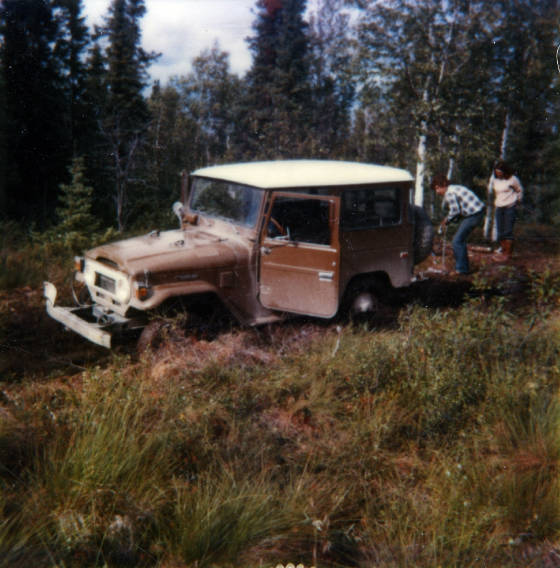 43._Red_Fox__road_.jpg