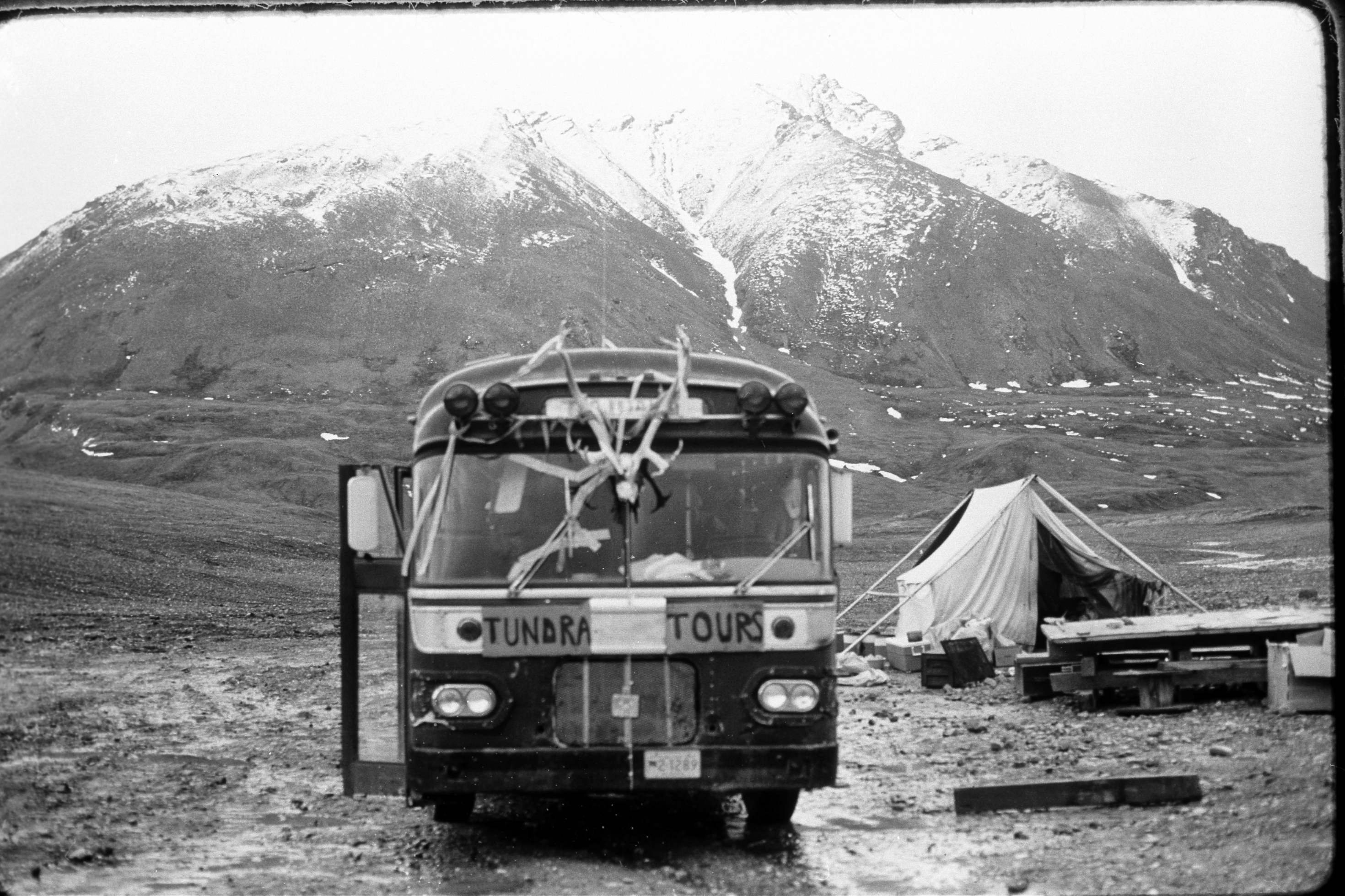 5._Tundrasaurus_in_Brooks_Range.jpg